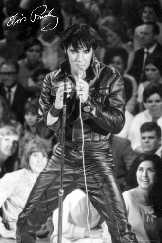 elvispresleyleathersuit_3.jpg