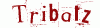 Tribalz Series