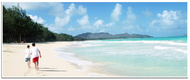 In mood for beach Holiday?