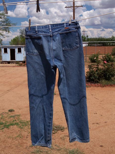 walmart sofia vergara jeans