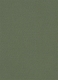 Green Cotton Power Stretch Chino Shorts