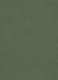Olive Green Cotton Chino Jeans