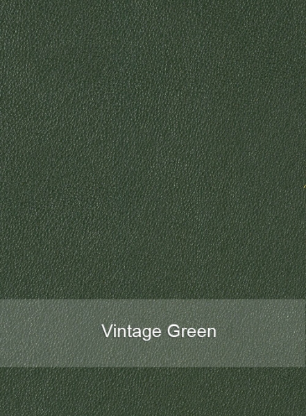 Vintage Green Aiden Pearce Watch Dog Leather Trench Coat