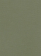 Green Feather Cotton Canvas Stretch Chino Pants