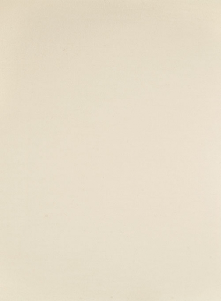 Light Beige Fine Twill Pants