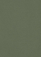 Green Cotton Power Stretch Chino Pants
