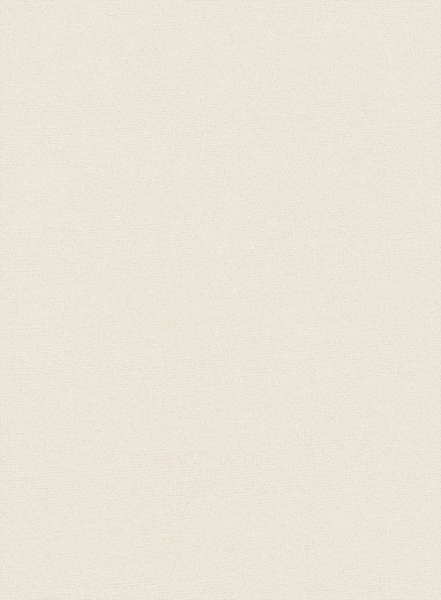 Light Beige Feather Cotton Canvas Stretch Pants