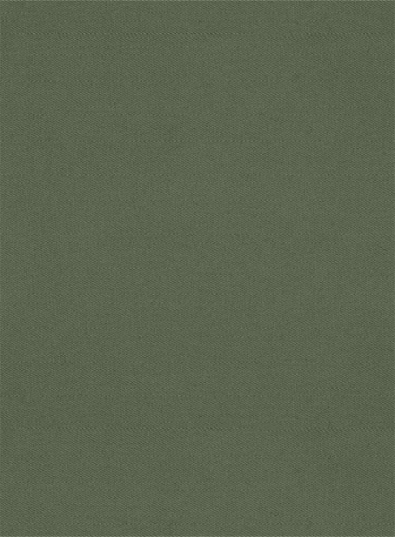 Olive Green Cotton Shorts