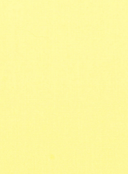 Lemon Poplene Shirt - Half Sleeves