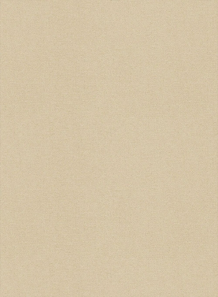 Beige Feather Cotton Canvas Stretch Suit