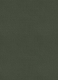 Napolean Military Green Wool Jacket