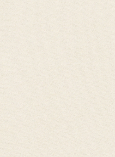 Light Beige Feather Cotton Canvas Stretch Chino Pants