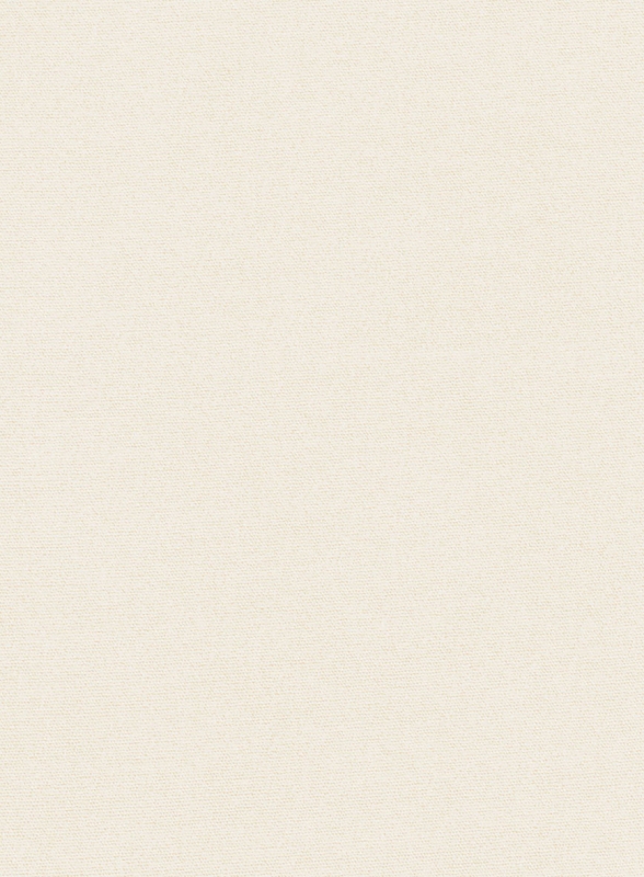 Light Beige Feather Cotton Canvas Stretch Chino Pants