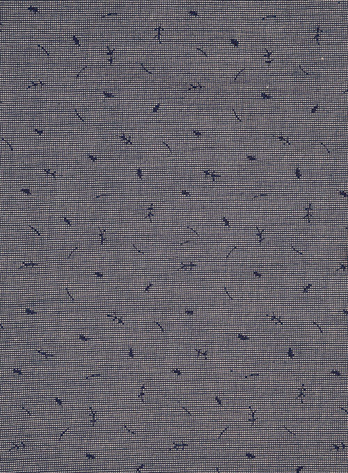 Cotton Linen Caria Shirt- Full Sleeves